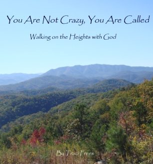 You are Not Crazy, You are Called eBook link