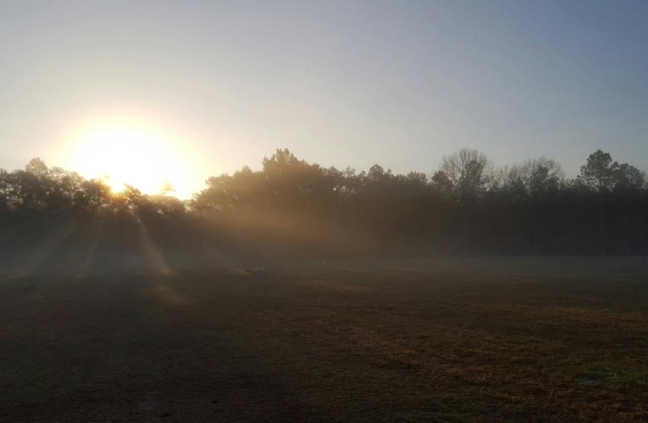 sunrise dispelling darkness