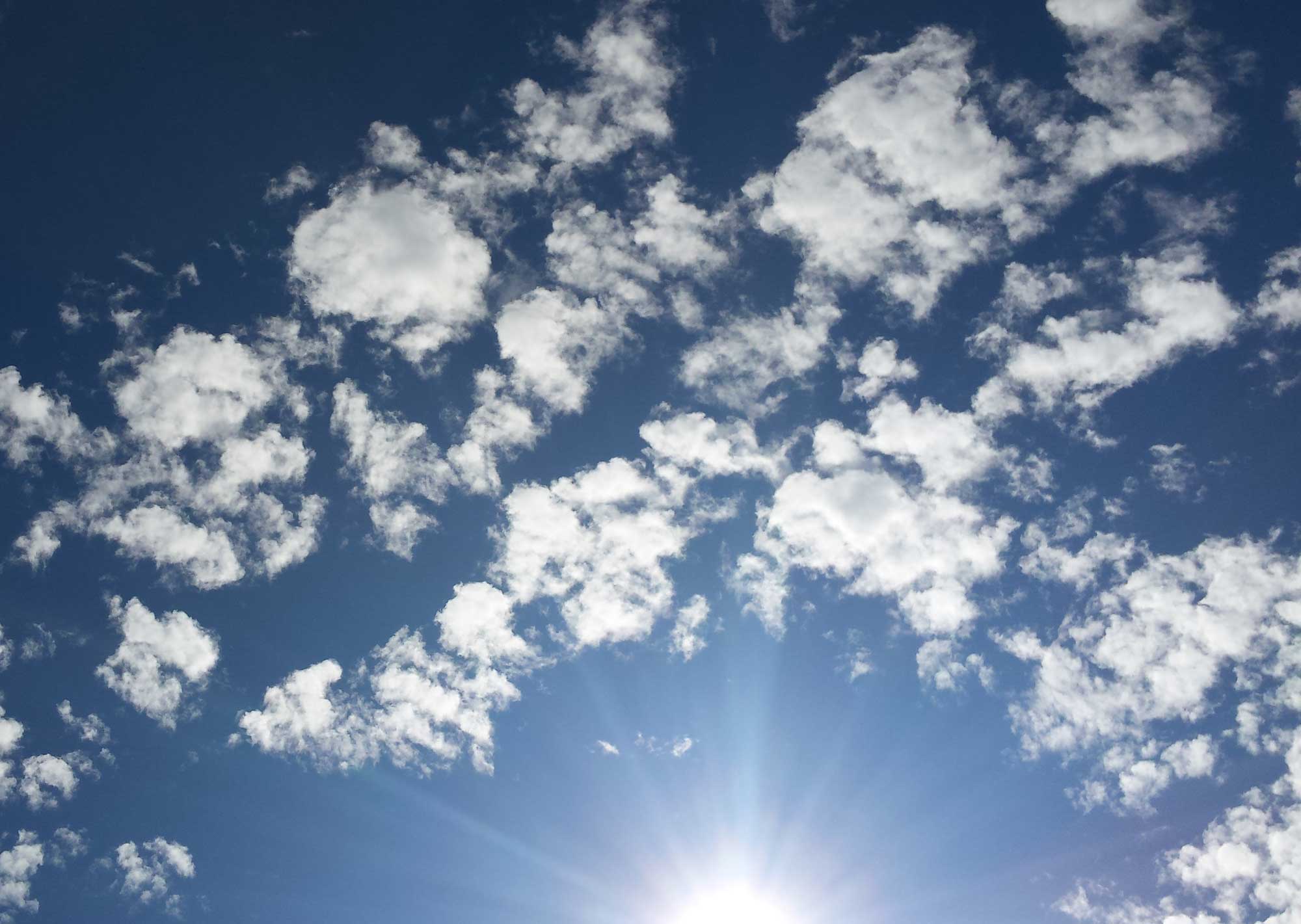 looking up to a blue sky with cotton ball white clouse surrounding the sun