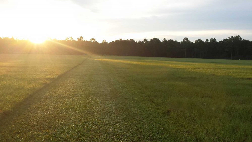 Sunrise photo by Traci Frees