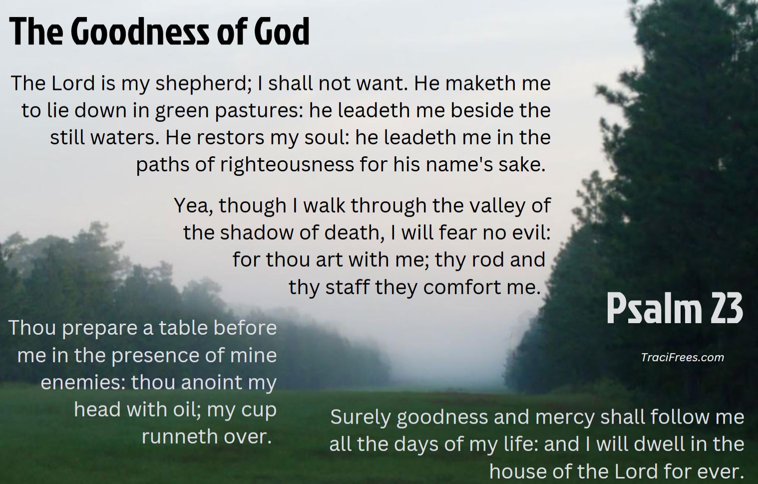 Psalm 23: The Lord is my shepherd; I shall not want. 2 He maketh me to lie down in green pastures: he leadeth me beside the still waters. 3 He restoreth my soul: he leadeth me in the paths of righteousness for his name's sake. 4 Yea, though I walk through the valley of the shadow of death, I will fear no evil: for thou art with me; thy rod and thy staff they comfort me. 5 Thou preparest a table before me in the presence of mine enemies: thou anointest my head with oil; my cup runneth over. 6 Surely goodness and mercy shall follow me all the days of my life: and I will dwell in the house of the Lord for ever.