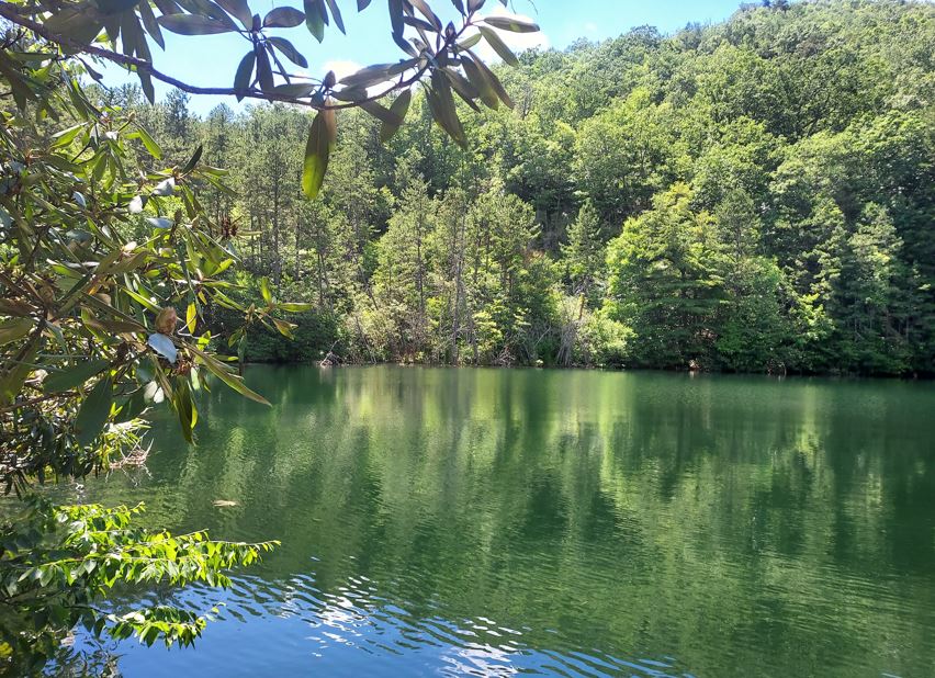 a beautiful lake in the mountains of North Carolina surrounded by trees