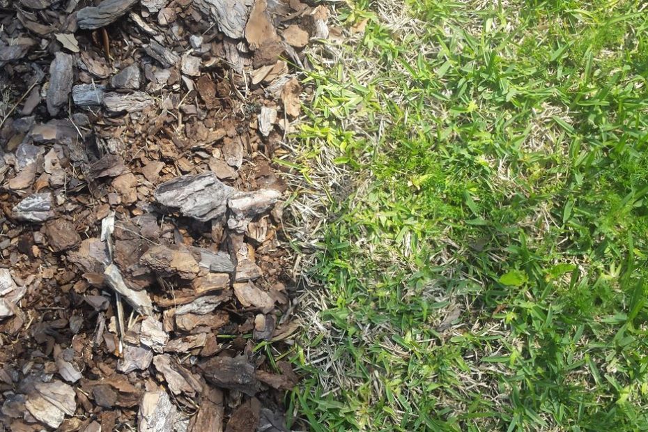 Two sides of an image signifying grief with wood chips and brown to the other side of grief with lush green grass