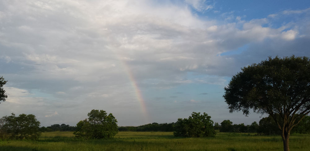 Rainbow in the sky evidencing the hope of God's promise.