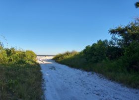 a white sandy path with thick bristles and vegetation on each side with a clearing and beautiful beach ahead