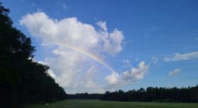 God's rainbow in the clouds in a bright sky contrasted against a dark field.