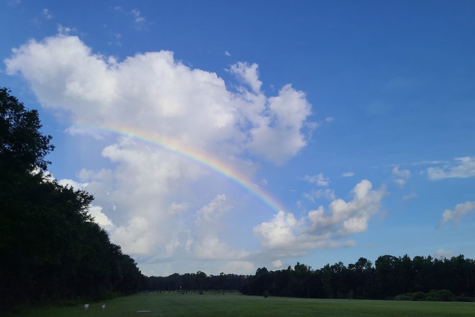 God's rainbow in the clouds in a bright sky contrasted against a dark field.