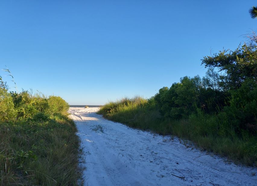 road to a new path
