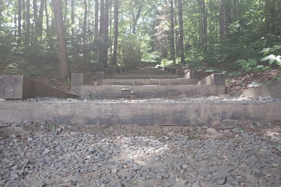 lonely steps carved into a hill with gravel and debris covering over.